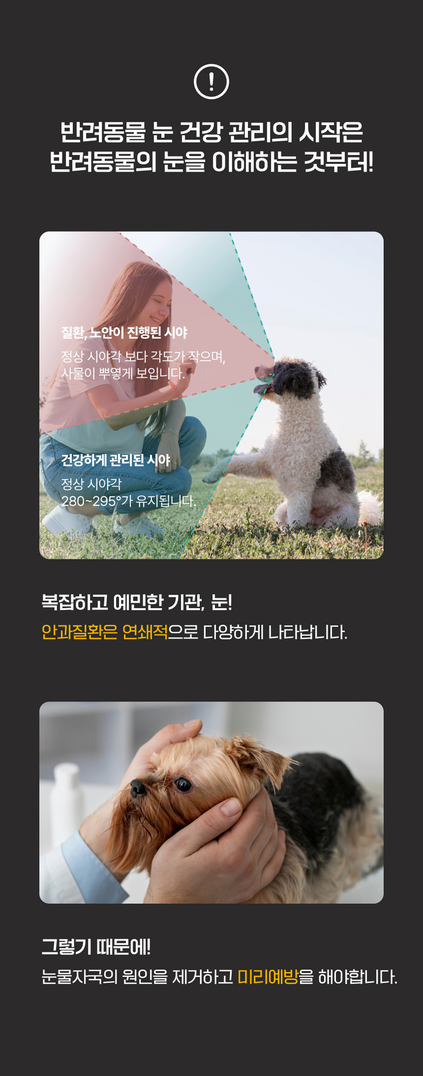 마래모해 강아지 눈 영양제 130g 상세 이미지 5