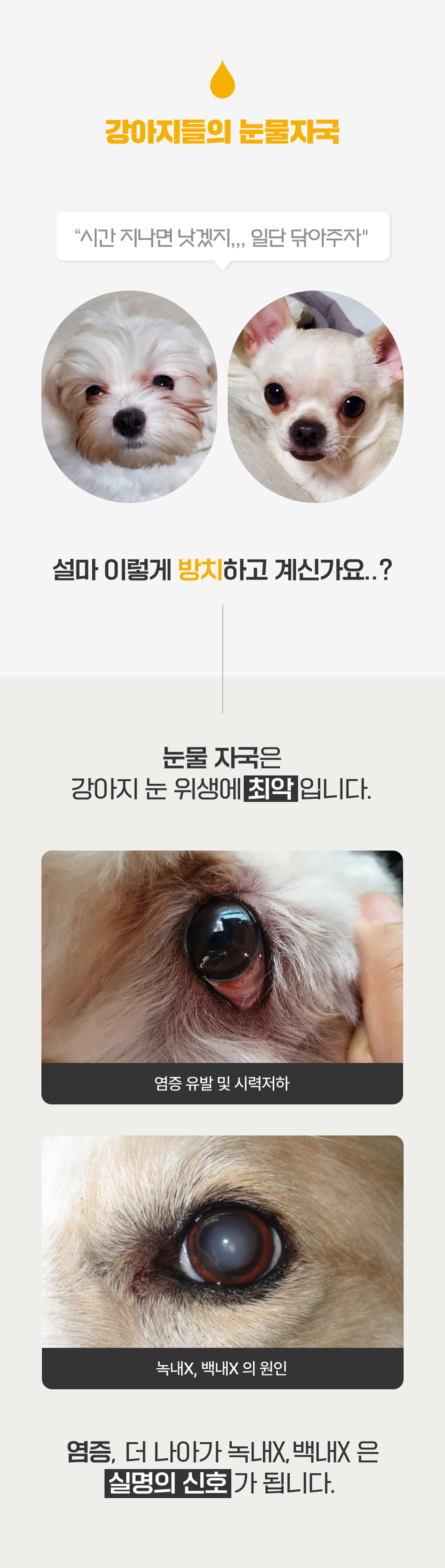 마래모해 강아지 눈 영양제 130g 상세 이미지 6
