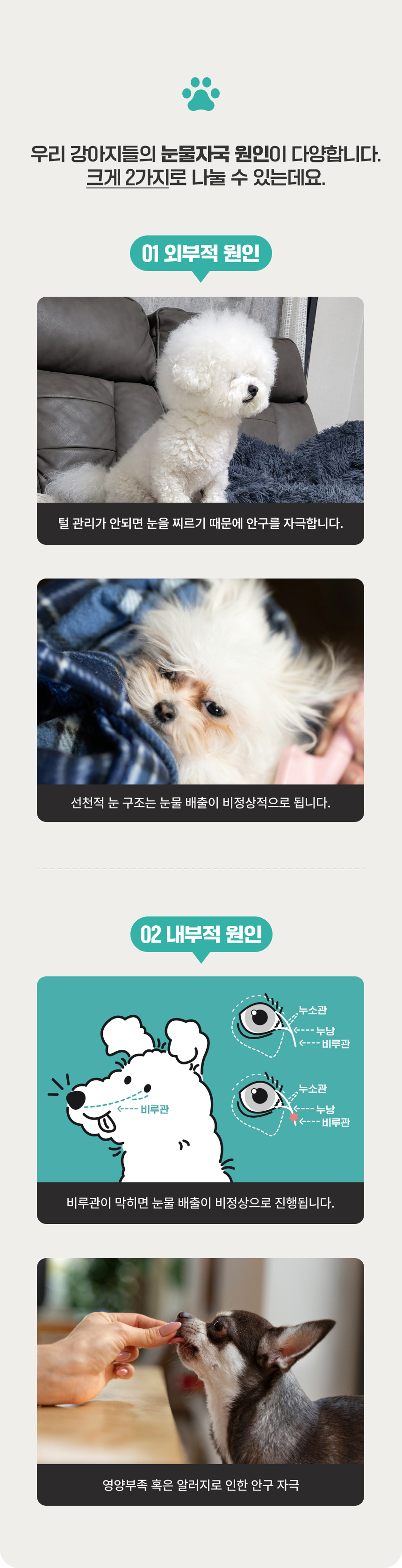마래모해 강아지 눈 영양제 130g 상세 이미지 7