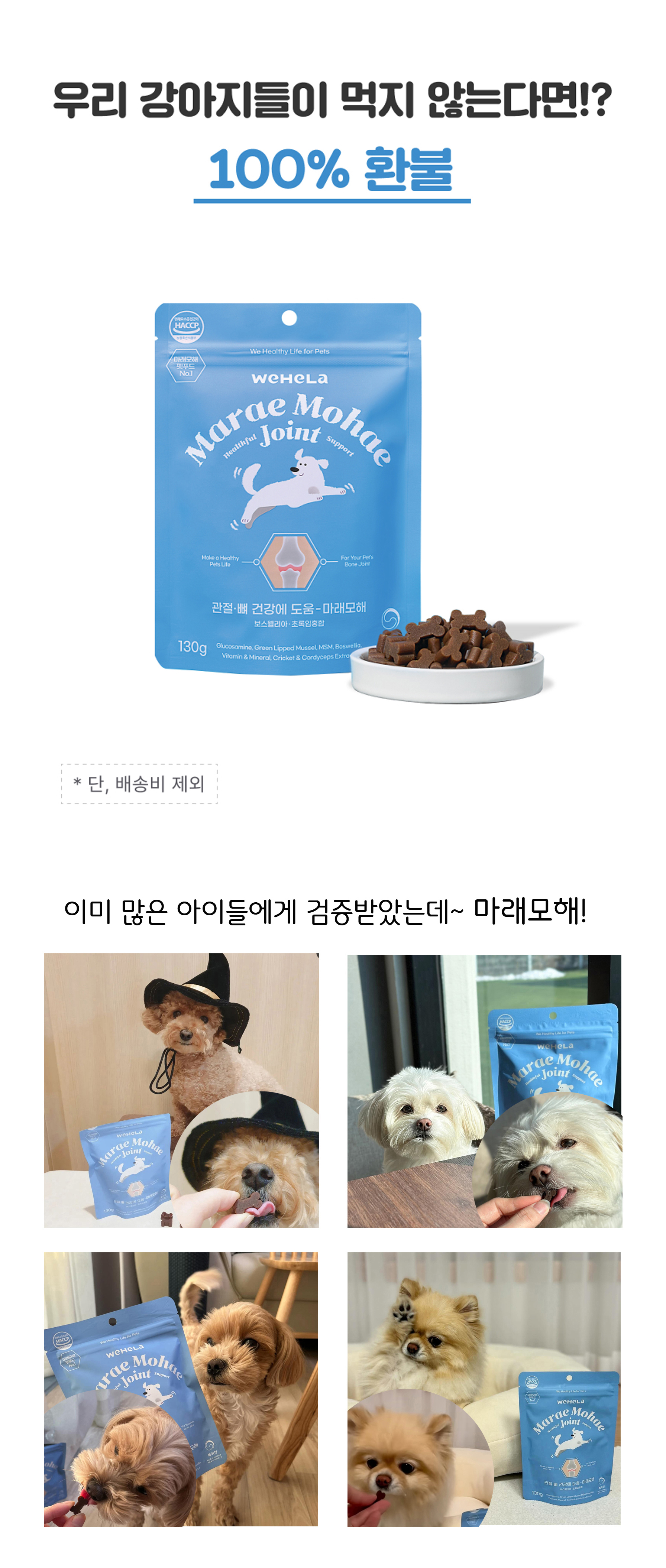 마래모해 강아지 관절 영양제 130g 상세 이미지 2