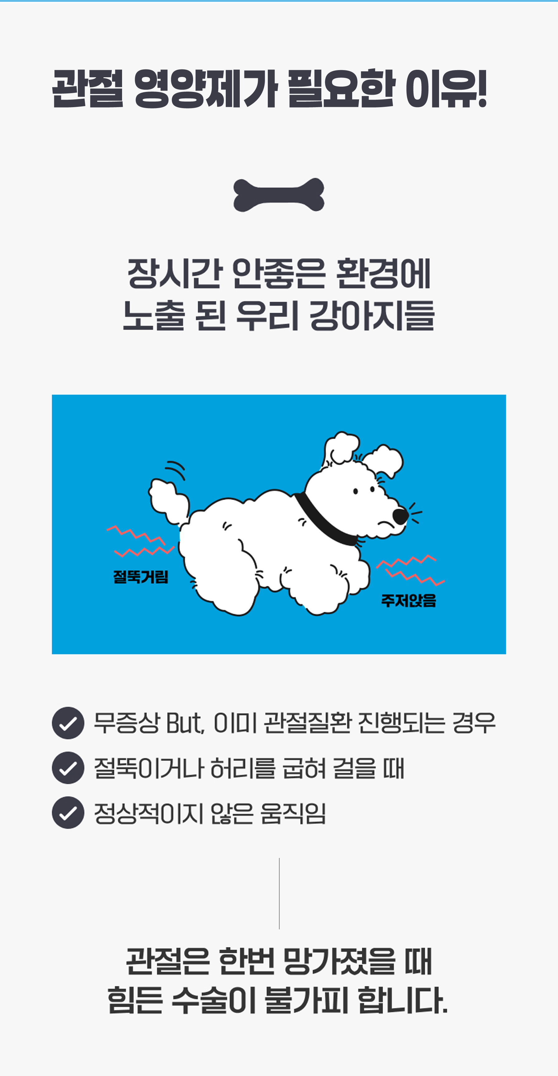 마래모해 강아지 관절 영양제 130g 상세 이미지 4