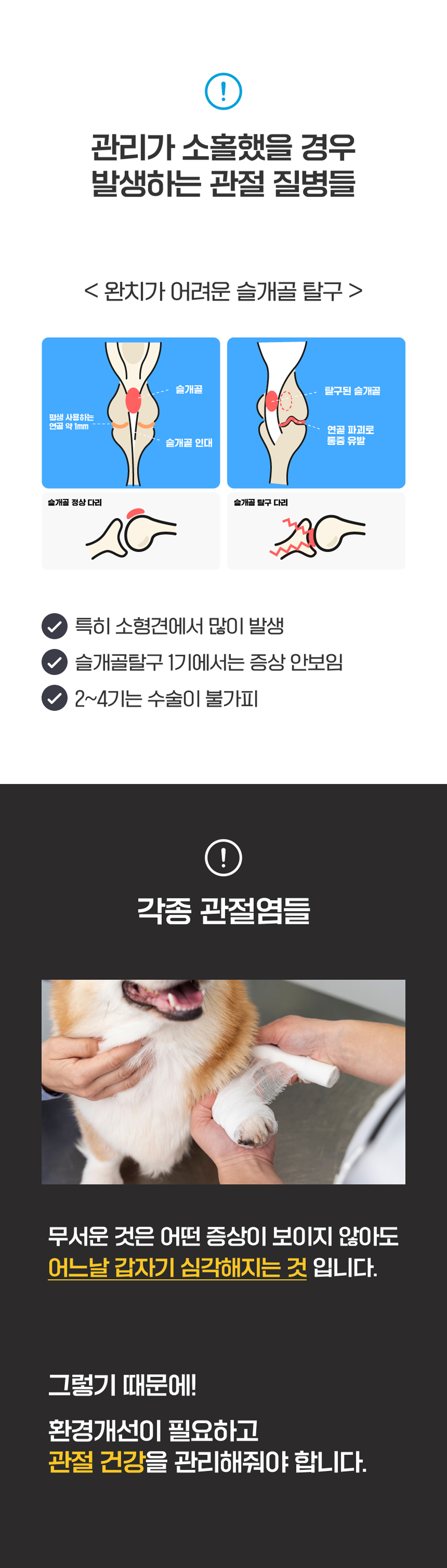마래모해 강아지 관절 영양제 130g 상세 이미지 6