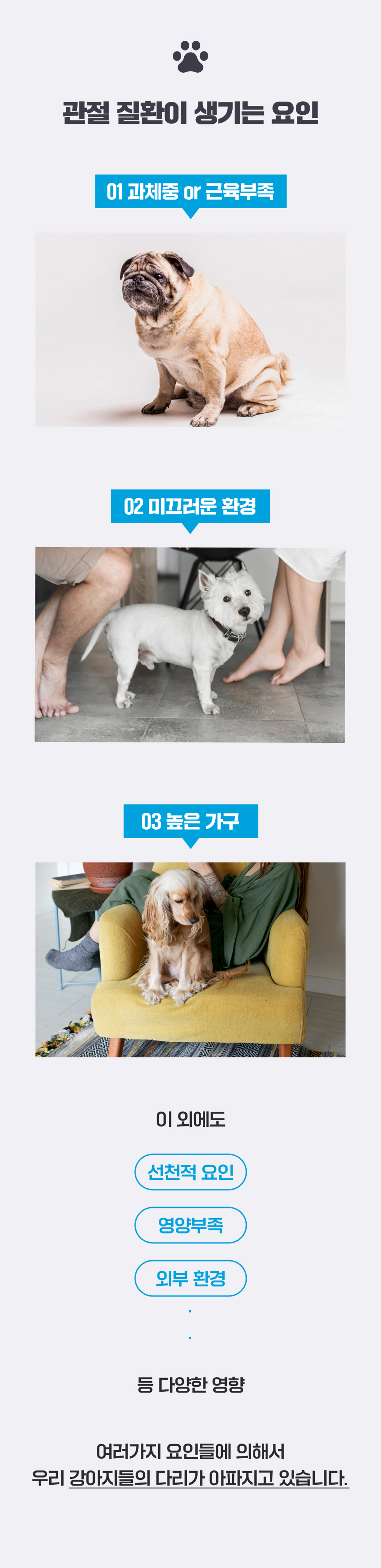 마래모해 강아지 관절 영양제 130g 상세 이미지 7