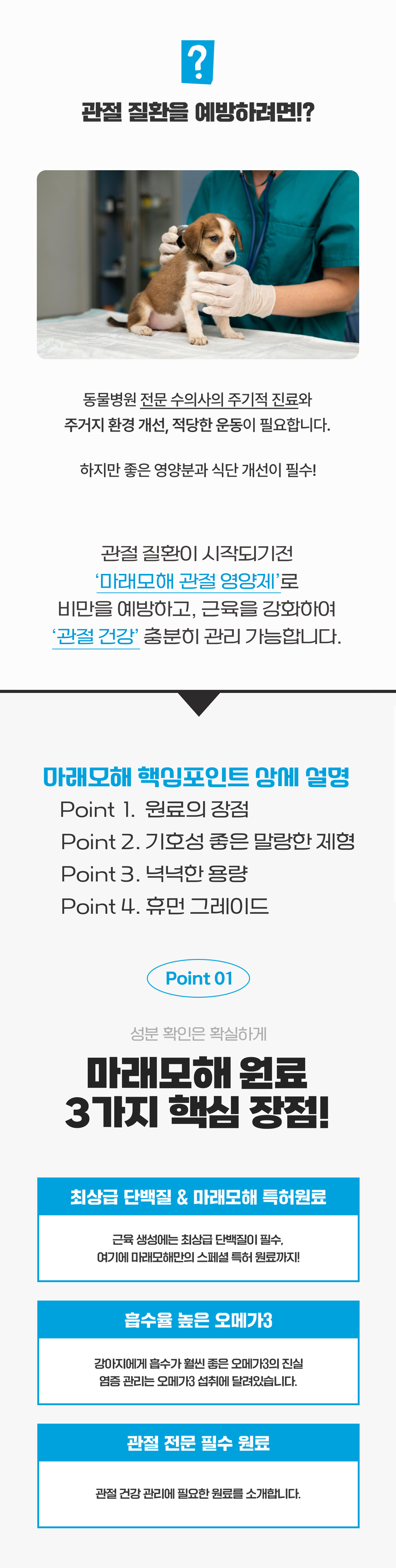 마래모해 강아지 관절 영양제 130g 상세 이미지 8
