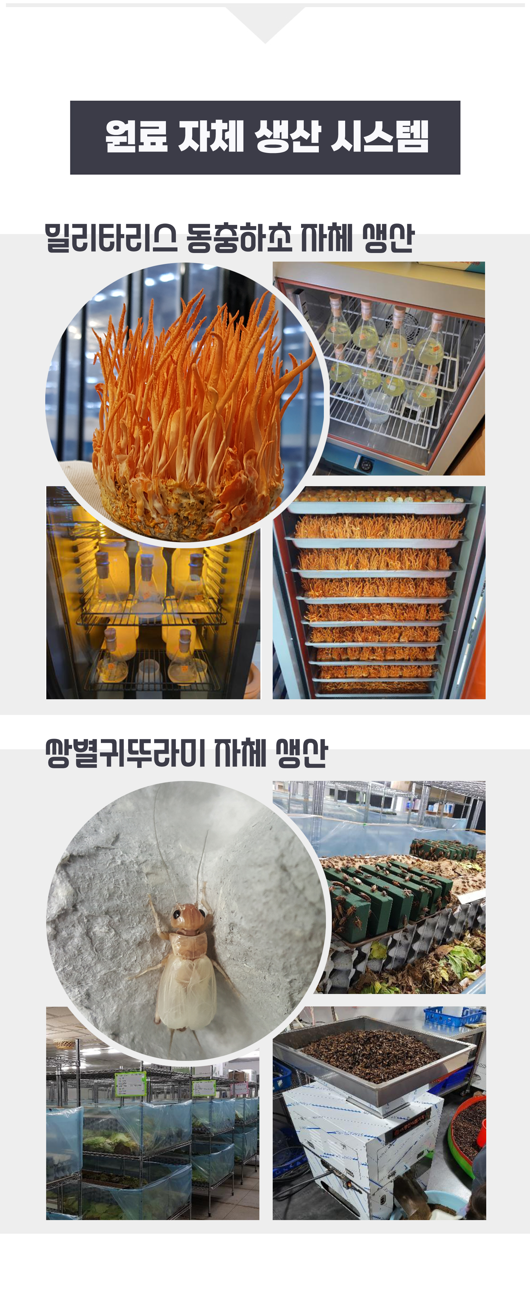 마래모해 강아지 관절 영양제 130g 상세 이미지 11