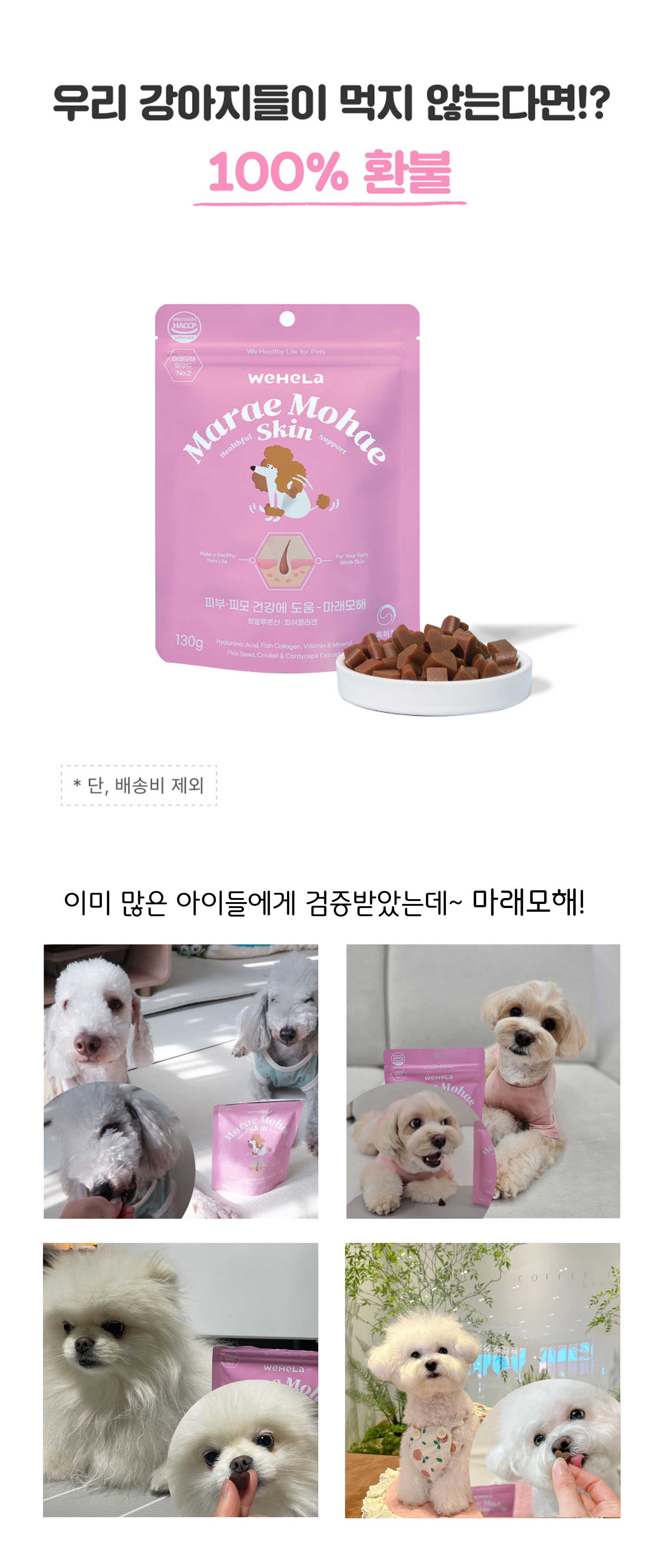 마래모해 강아지 피부 영양제 130g 상세 이미지 2