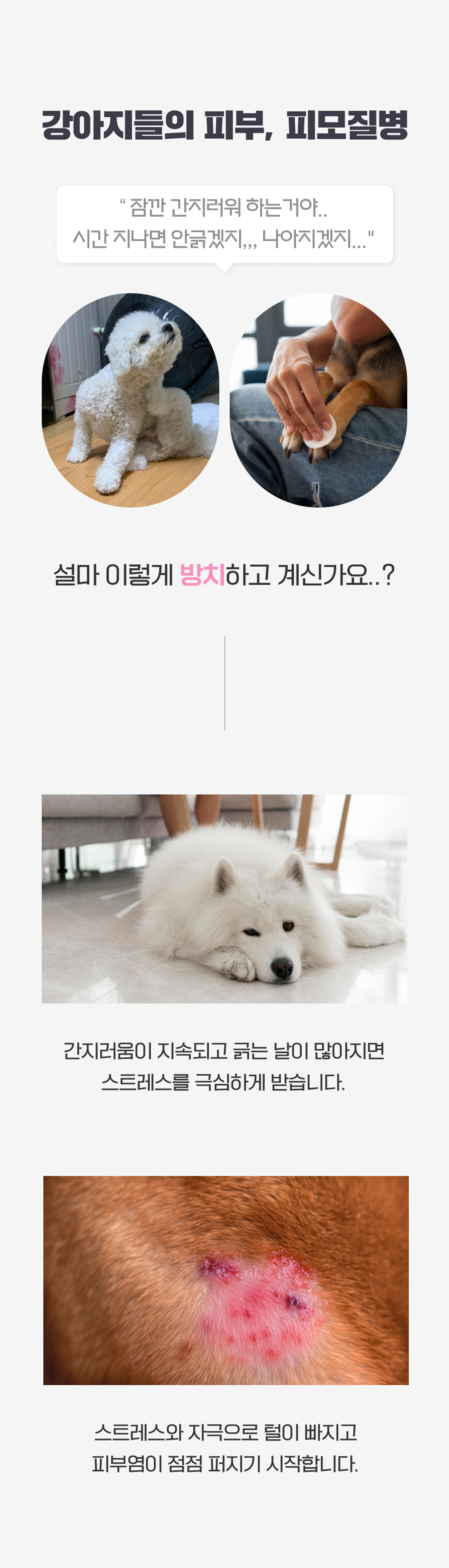 마래모해 강아지 피부 영양제 130g 상세 이미지 6