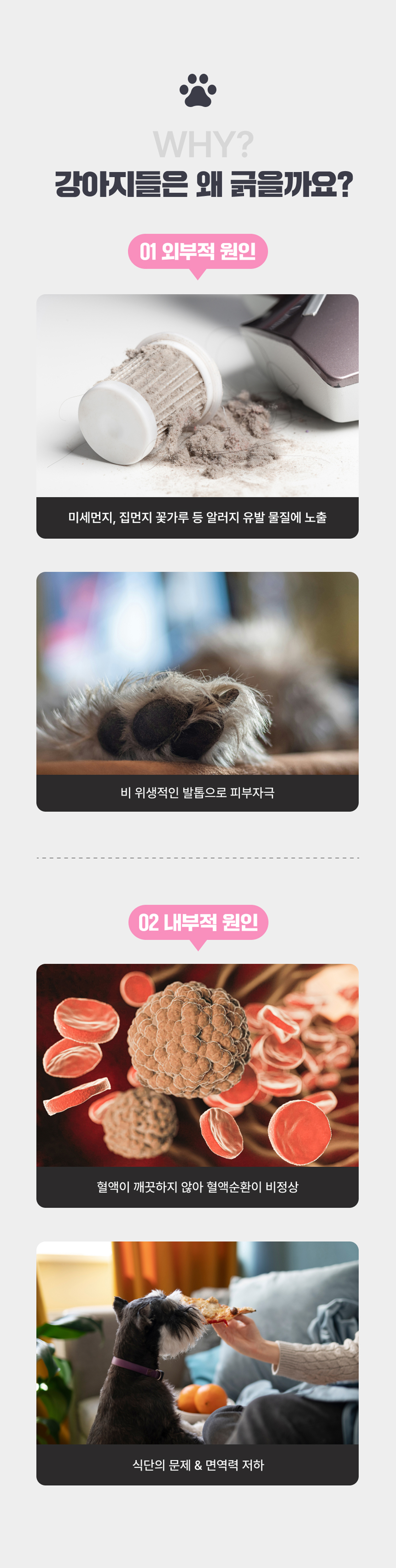 마래모해 강아지 피부 영양제 130g 상세 이미지 7