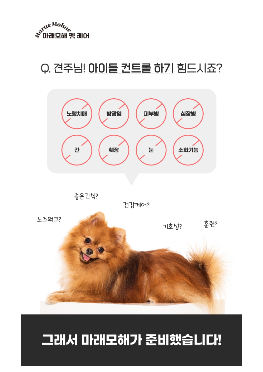 마래모해 강아지 컨트롤밀 칠면조 상세 이미지 2