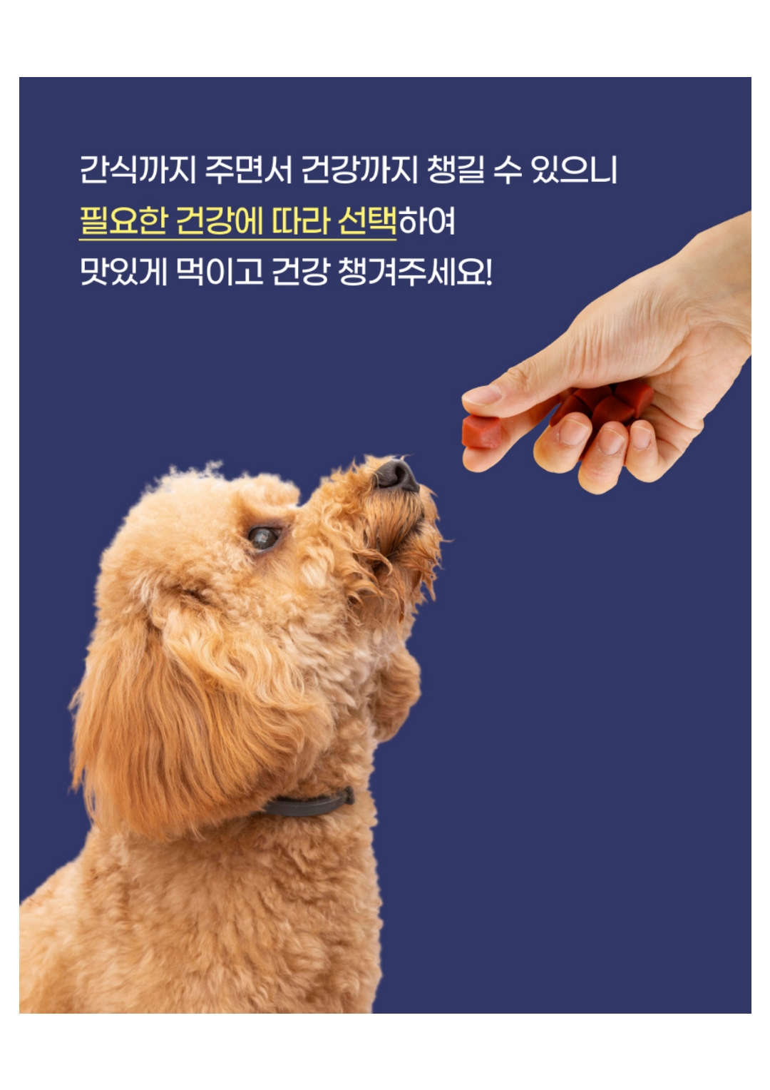 마래모해 강아지 컨트롤밀 칠면조 상세 이미지 13