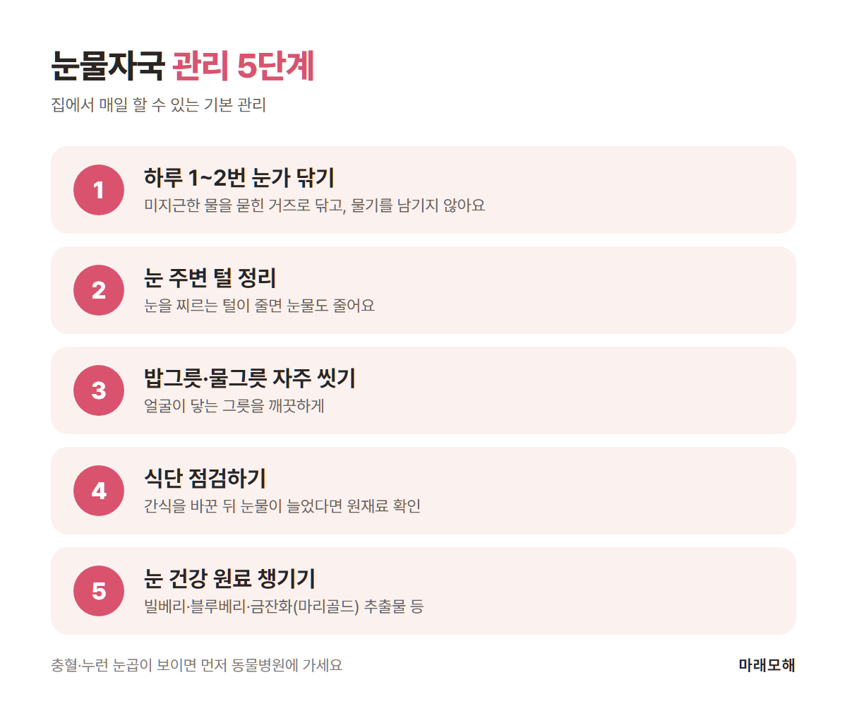 강아지 눈물자국 관리 5단계: 눈가 닦기, 털 정리, 그릇 씻기, 식단 점검, 눈 건강 원료