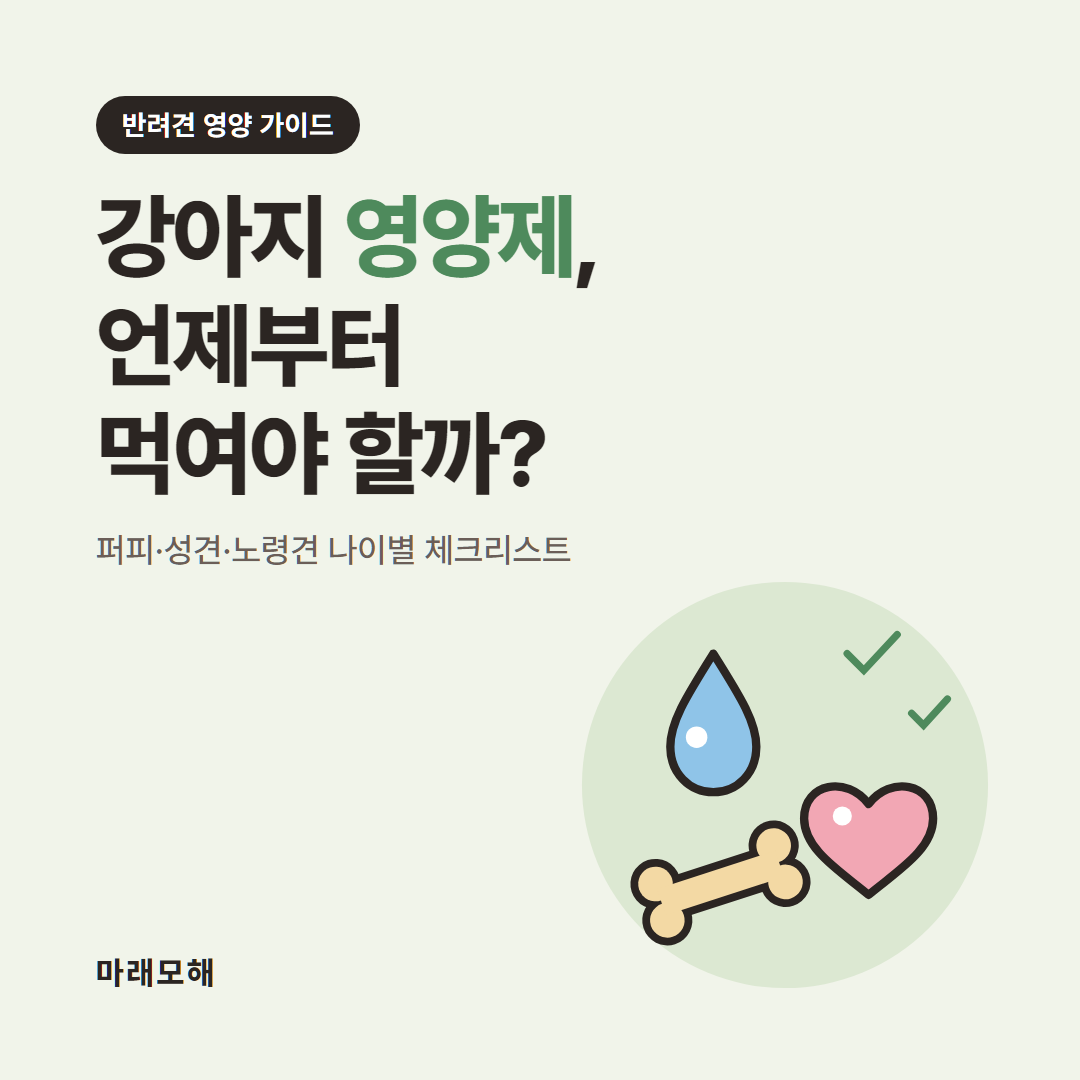 강아지 영양제 언제부터 먹여야 할까? 나이별 체크리스트