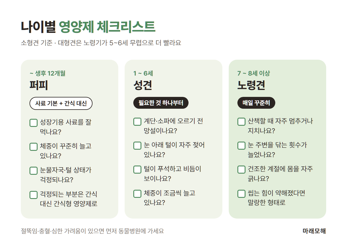 나이별 영양제 체크리스트: 퍼피는 사료 기본에 걱정되는 부분은 간식 대신, 성견은 필요한 것 하나부터, 노령견은 매일 꾸준히